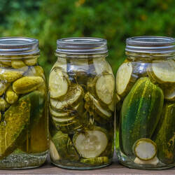 Cucumis sativus  Pickling National Pickling Cucumber seed for sale 