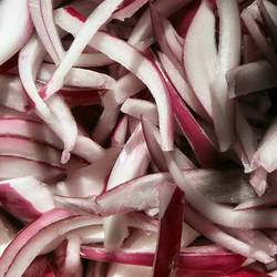 Allium cepa   Red Creole Red Creole Edible Onion seed for sale 