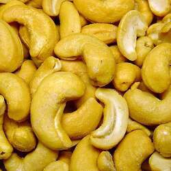 Anacardium occidentale Cashew seed for sale 