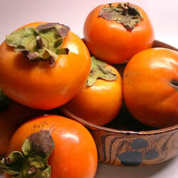 Diospyros kaki Japanese Persimmon seed for sale 