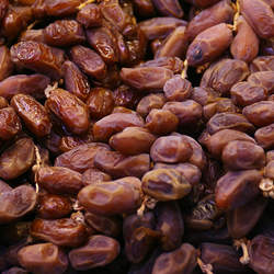 Phoenix dactylifera Date Palm seed for sale 