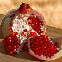 Punica granatum Pomegranate, Pomegranite seed for sale 